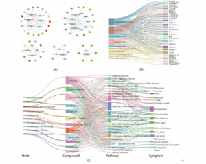 谁说中药治疗新冠肺炎没有科学依据？