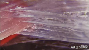 经络实质研究概述兼驳否认经络论 之四